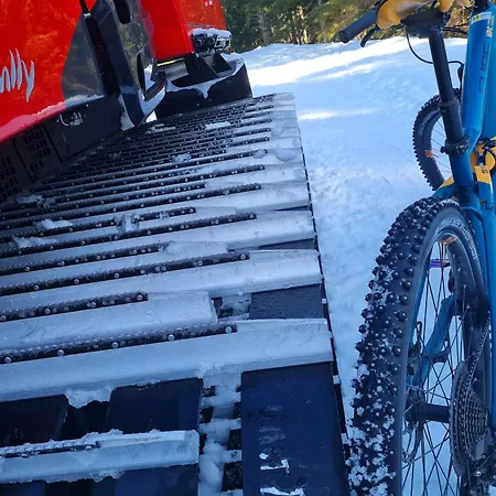 Strbian S Virivkou V Cene