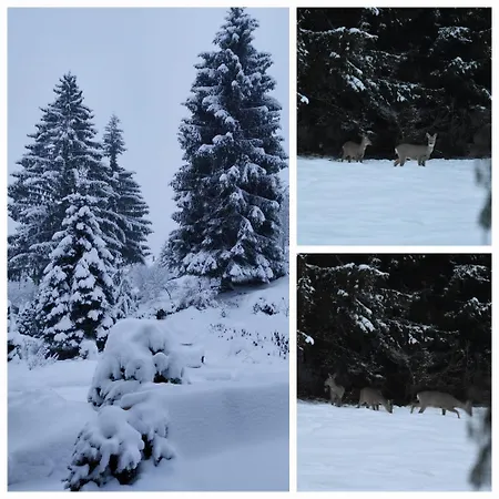 Strbian S Virivkou V Cene بيت للعطل