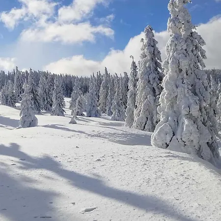بيت للعطل Strbian S Virivkou V Cene Telgárt